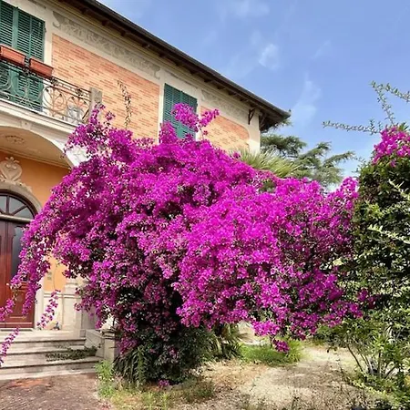 Il Giardino Di Lino, נולי